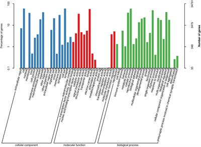 Identifying Candidate Genes Involved in the Regulation of Early Growth Using Full-Length Transcriptome and RNA-Seq Analyses of Frontal and Parietal Bones and Vertebral Bones in Bighead Carp (Hypophthalmichthys nobilis)